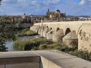PICTURES/Cordoba - The Roman Bridge/t_Roman Bridge 14.jpg